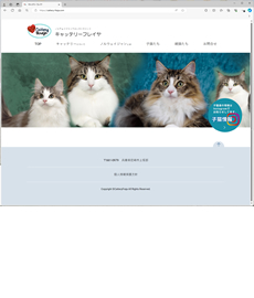 キャッテリー・フレイヤ